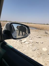 Reflection of car on side-view mirror