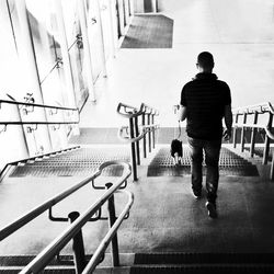 Rear view of man walking on steps with dog