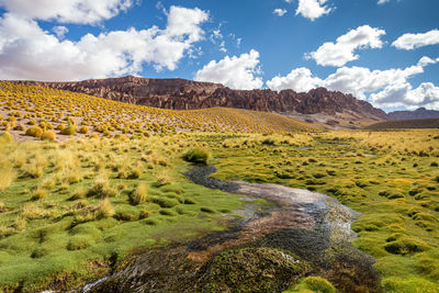 Scenic view of landscape against sky