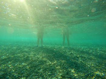 Low section of people swimming in sea