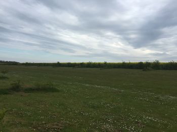 Scenic view of field against cloudy sky