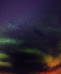 View of trees against sky