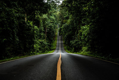 Road amidst trees in forest