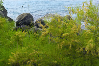 Scenic view of sea