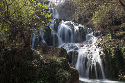 Scenic view of waterfall in forest