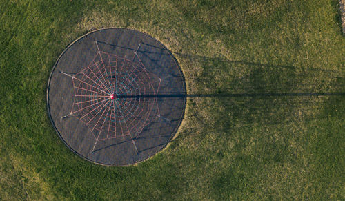 Directly above shot of plant on grass