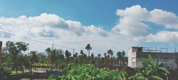 Low angle view of trees and buildings against sky