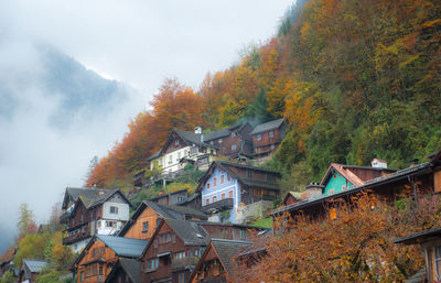 Houses amidst trees and buildings against sky during autumn