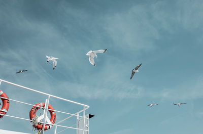 Low angle view of seagulls flying in sky