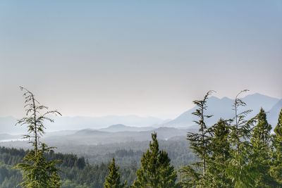 Scenic view of mountains against clear sky