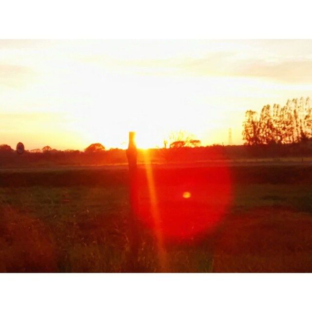 sunset, sun, transfer print, tranquil scene, scenics, tranquility, orange color, beauty in nature, landscape, auto post production filter, sunlight, sky, nature, idyllic, sunbeam, silhouette, field, lens flare, tree, outdoors