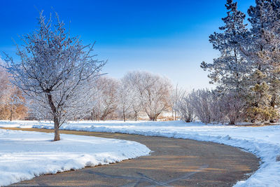 Snow covered field by trees against sky