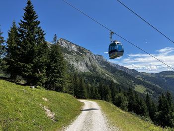 People walking on mountain