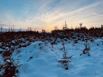 Snow covered field against sky during sunset