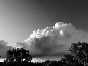 Low angle view of trees against cloudy sky