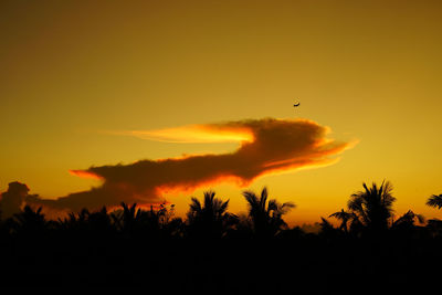 Silhouette trees against orange sky during sunset