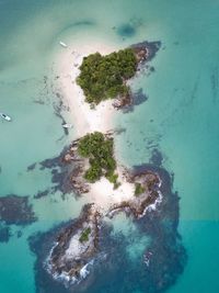 Aerial view of sea