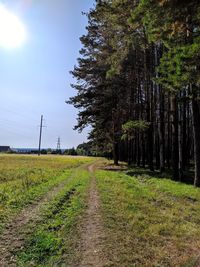 Road amidst trees on field against sky