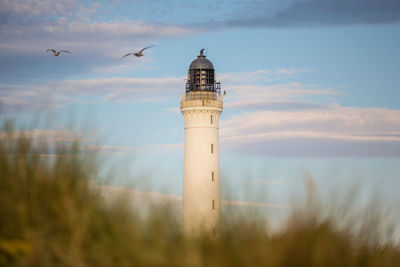 Bird flying over lighthouse against sky