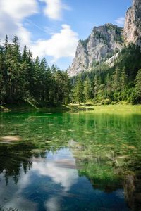 Scenic view of lake by trees against sky