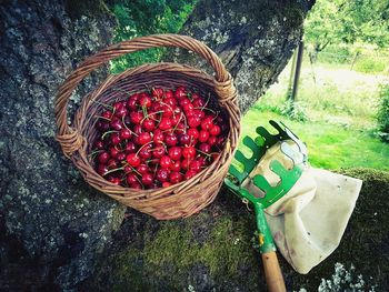 High angle view of strawberries in basket