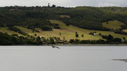 Scenic view of landscape