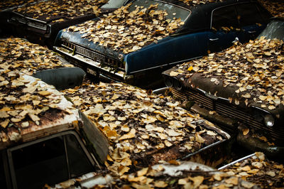 High angle view of dry leaves on abandoned cars