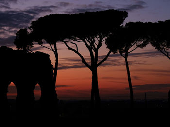 Silhouette trees on field against sky during sunset