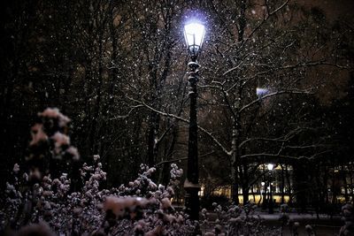 Low angle view of illuminated street light at night