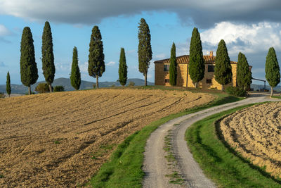 Farmhouse with cypress trees, near pienza, val d'orcia valley, siena region,tuscany , italy. 