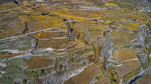 High angle view of agricultural landscape