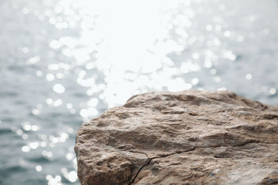 Close-up of rock in sea