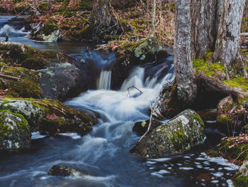 Stream flowing through rocks in forest