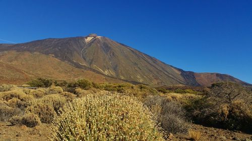 Scenic view of desert against clear blue sky