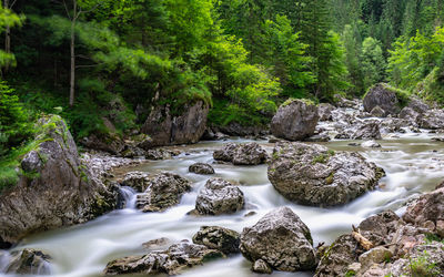 Stream flowing through rocks in forest