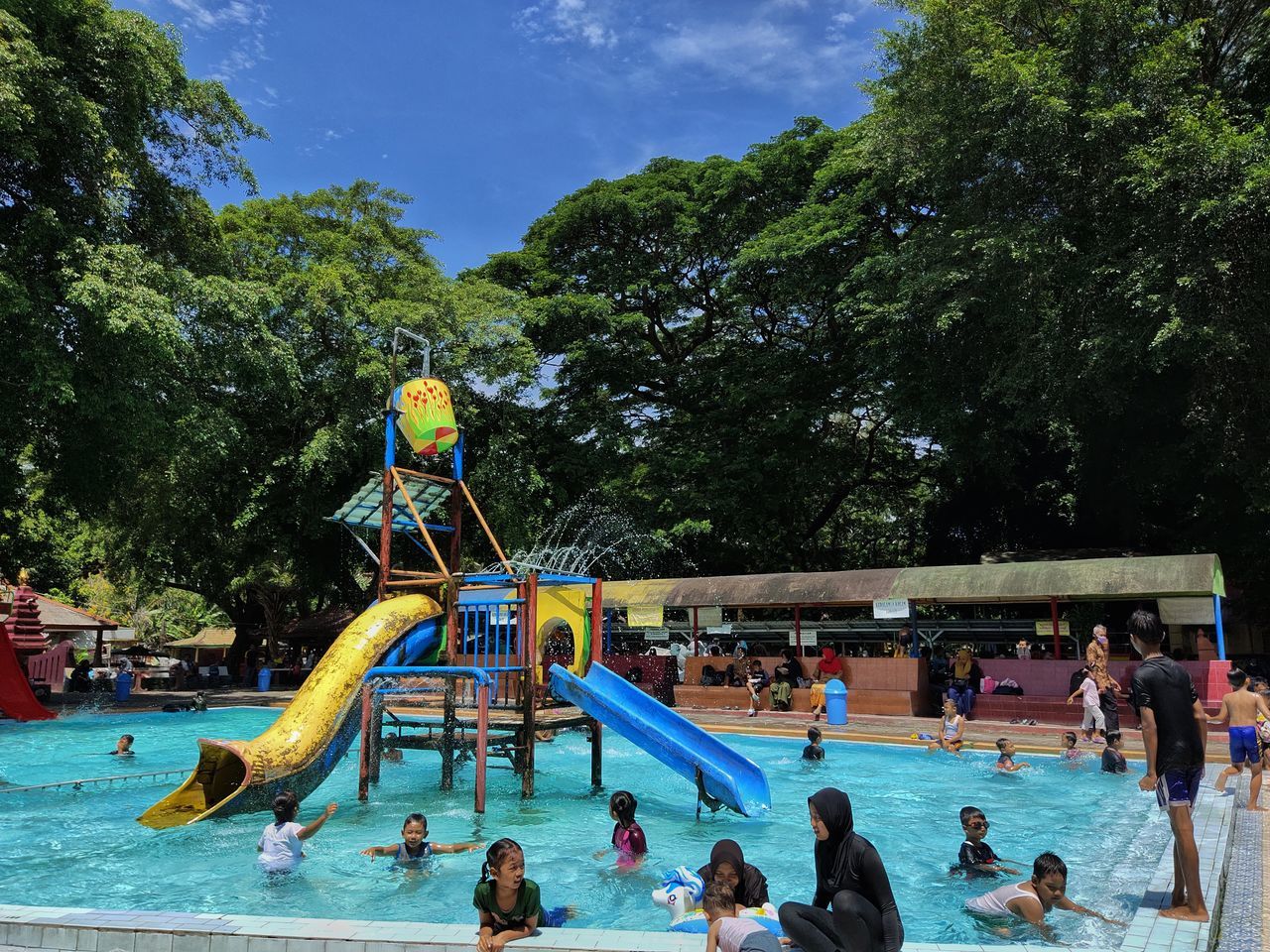 park, water park, tree, amusement park, group of people, crowd, large group of people, nature, plant, water, recreation, swimming pool, leisure activity, swimming, enjoyment, lifestyles, fun, women, men, sports, day, adult, outdoors, holiday, childhood, person, trip, vacation