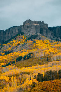 Scenic view of landscape against sky during autumn