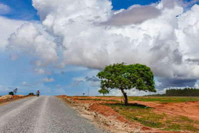 Road amidst trees on field against sky