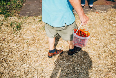 High angle view of man holding strawberries in bucket