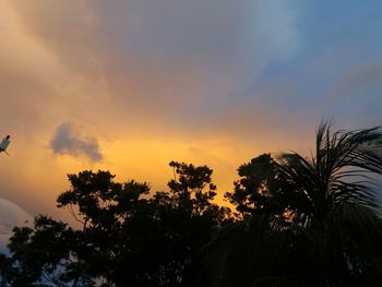 Low angle view of silhouette trees against sky at sunset