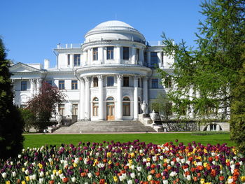 View of flowering plants in garden