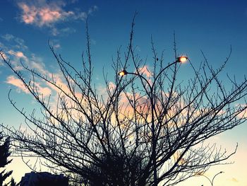 Low angle view of silhouette bare tree against sky at sunset