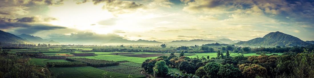 Scenic view of green landscape