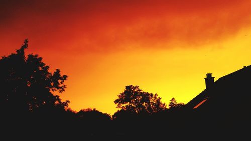 Low angle view of silhouette trees against orange sky