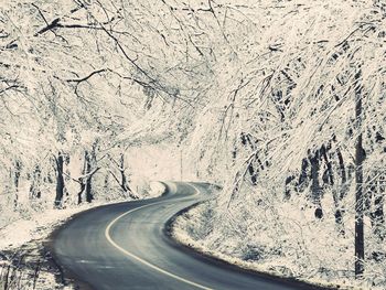 Scenic view of snow covered road