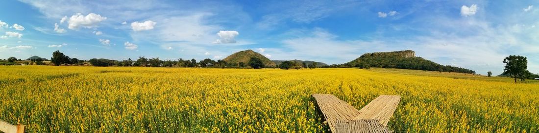 Panoramic view of agricultural field against sky