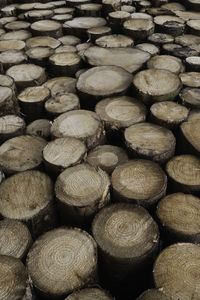 Full frame shot of stack of harvested pine logs