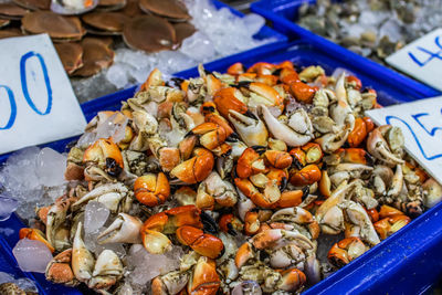 Fresh-caught seafood for sale at a street market