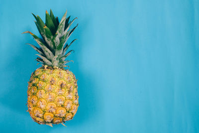 Pineapple on blue background