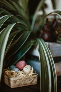Close-up of cake in basket